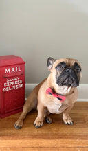 Load image into Gallery viewer, Buffalo Plaid Pet Bow