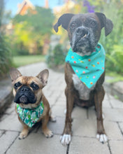 Load image into Gallery viewer, Custom Medium Pet Bandana