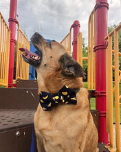 Load image into Gallery viewer, Bananas Pet Bow