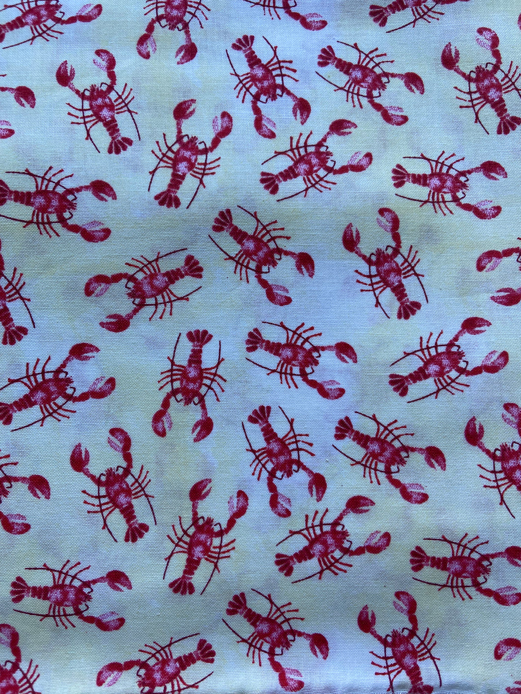 Lobster Large Scrub Cap