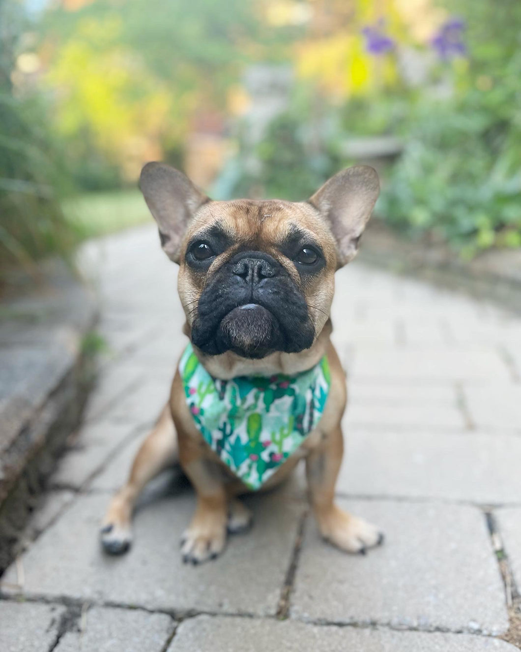 Custom Small Pet Bandana