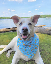 Load image into Gallery viewer, Custom Large Pet Bandana
