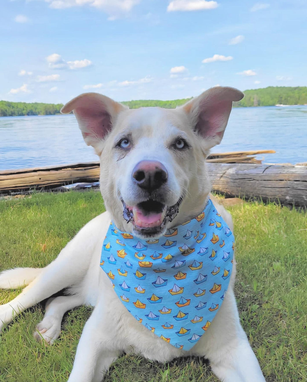 Custom Large Pet Bandana