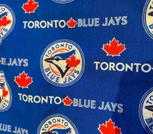 Load image into Gallery viewer, Bouffant Scrub Cap
