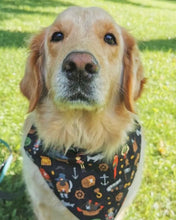 Load image into Gallery viewer, Custom Large Pet Bandana
