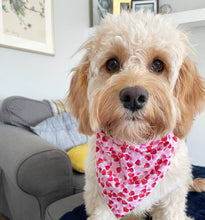 Load image into Gallery viewer, Custom Medium Pet Bandana
