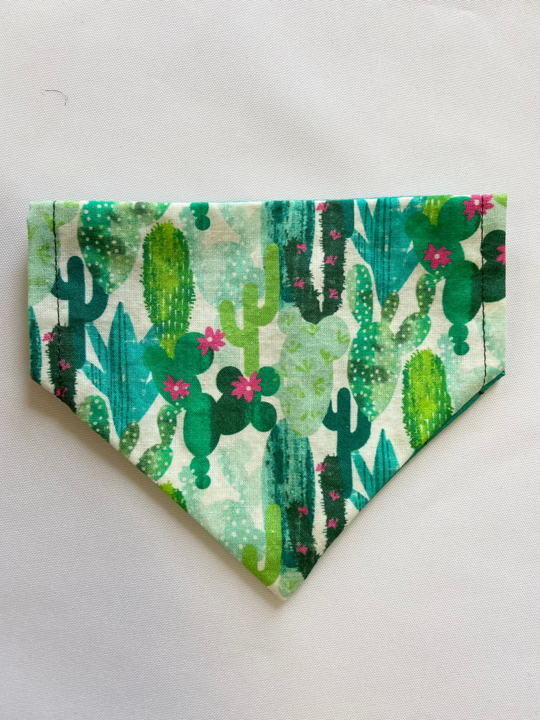 Cactus Pet Bandana